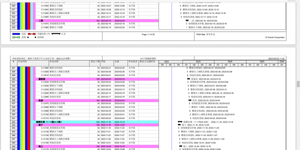 Oracle P6软件施工专业工作的特点