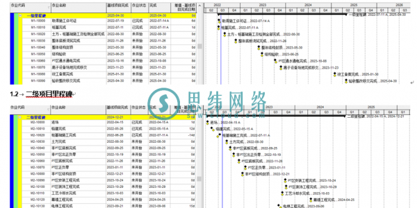 Oracle Primavera P6软件项目进度报告