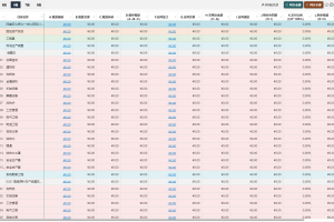 SPM项目管理系统CostSheet